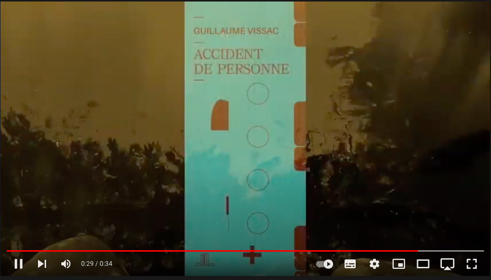 Guillaume Vissac, « Accident de personne* : “tout piétiner” », 1er février 2019