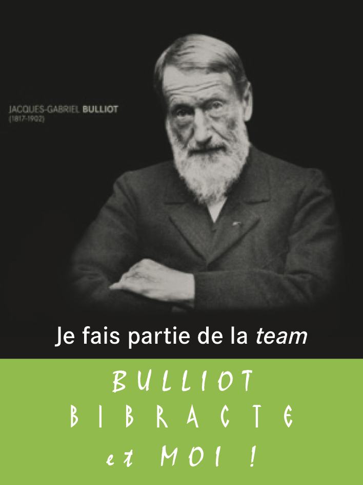 Figure 1. Badge de la team Bulliot ©Bibracte